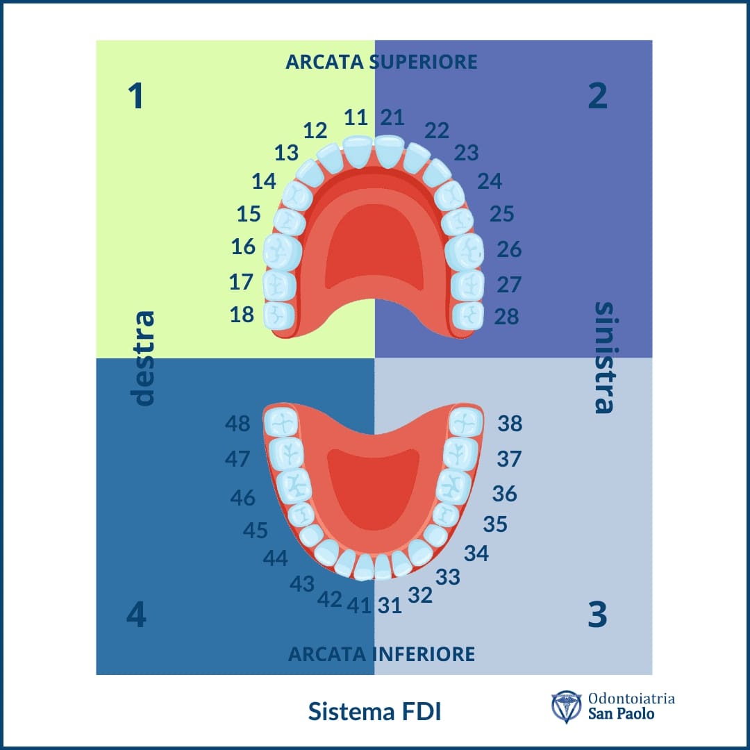 numerazione denti sistema fdi