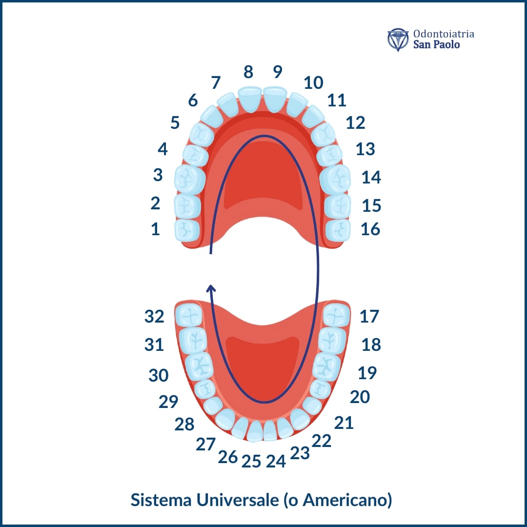 numerazione denti sistema universale